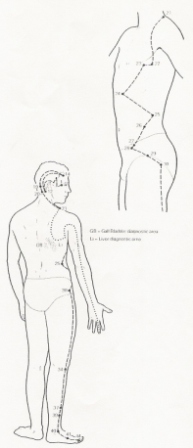 Gall bladder meridians